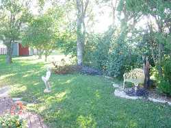 Rear of 2 BR/ 2 Bath Port Richey Fl For Rent