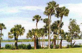 Fred Howard Park - Tarpon Springs Florida
